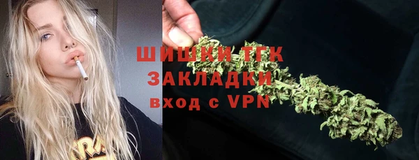 дживик Балахна