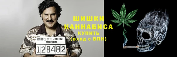 трава Беломорск